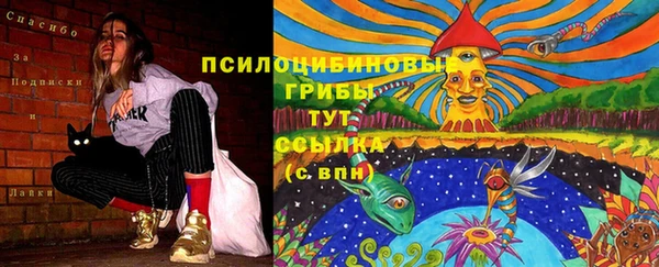 СК Арсеньев