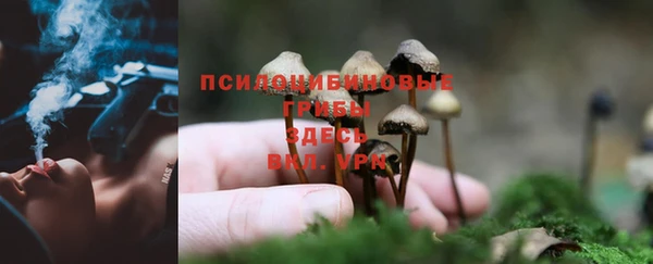 СК Арсеньев